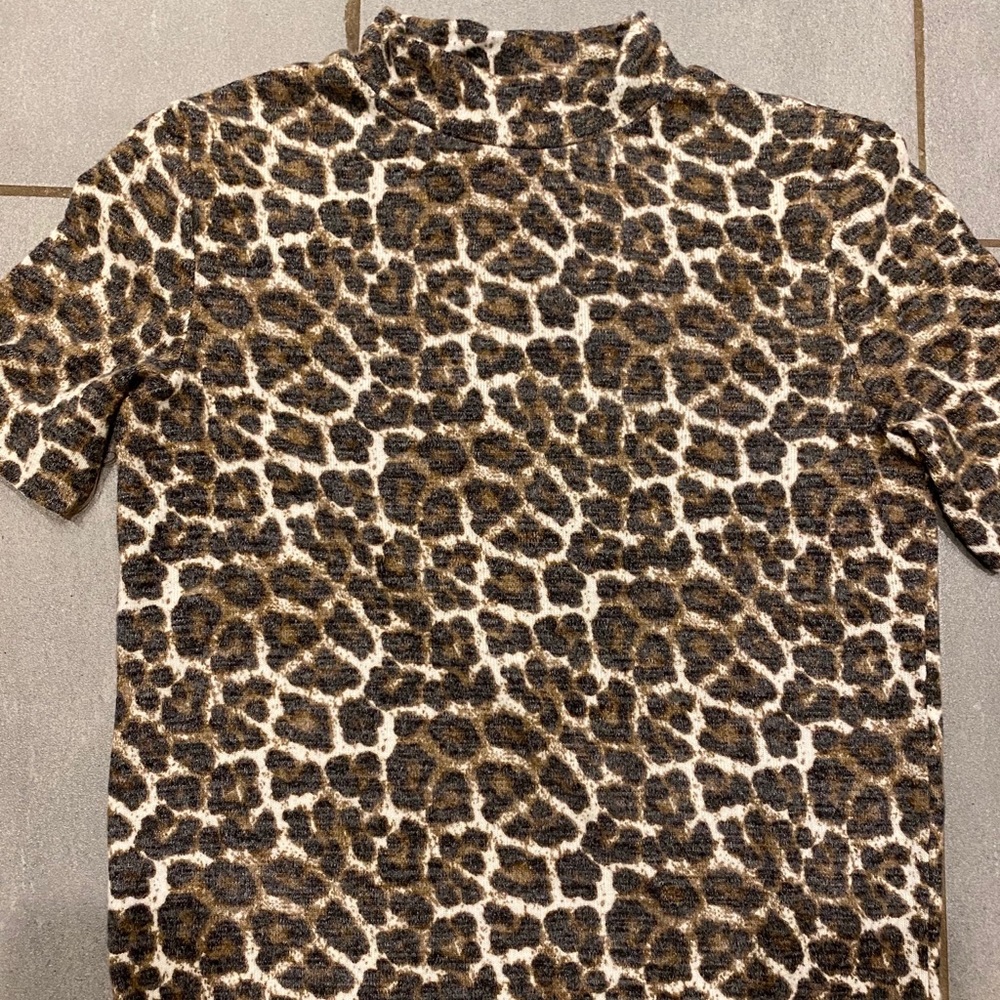 Zara Cheetah T-shirt Sweater